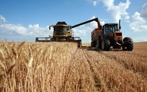 La Banque mondiale accorde 250 millions de dollars au Maroc pour renforcer l'agroalimentaire  