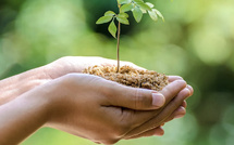 Mexico: Participation du Maroc à une conférence internationale sur la protection de l'environnement